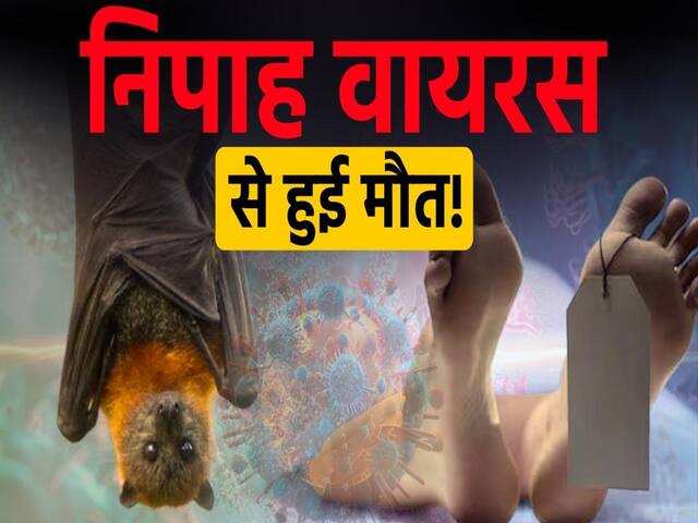 निपाह वायरस के कारण हुई महिला की मौत! जानें वैक्सीन पर क्या है अपडेट