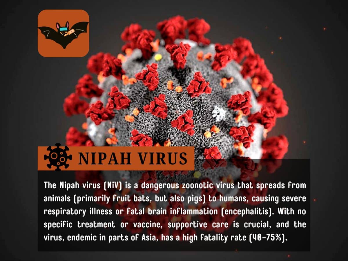 What Is Nipah Virus?