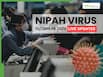 Nipah Virus Outbreak 2026 LIVE Updates: Asia on High Alert, Pandemic and Lockdown Fears Rise As Thermal Screening and Hospital Protocols Intensify
