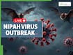 Nipah Virus Outbreak In India LIVE Updates: Infected Nurse Dies of Cardiac Arrest; Is Another Pandemic-Style Lockdown Looming?