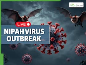 Nipah Virus Outbreak In India LIVE Updates: Infected Nurse Dies of Cardiac Arrest; Is Another Pandemic-Style Lockdown Looming?