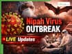 Nipah Virus Outbreak LIVE Updates: Woman Dies After Contracting NiV Infection, Develops Severe Symptoms Before Death | Highlights