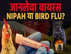 निपाह या बर्ड फ्लू, कौन-सा वायरस है इंसान के लिए जानलेवा?