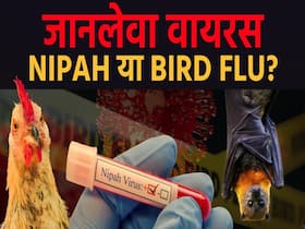 निपाह या बर्ड फ्लू, कौन-सा वायरस है इंसान के लिए जानलेवा?