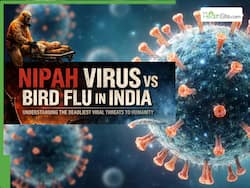 Nipah Virus Vs Bird Flu Outbreak In India: Which Viral Infection Could Kill More Humans?