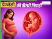 तीसरी तिमाही में कितना हो जाता है शिशु का विकास? जानें 7 से 9वें महीने तक की पूरी जानकारी