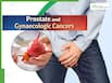 Cancer After 60: Over 1 Lakh Cases in Tamil Nadu Alone Highlight the Silent Rise of Prostate and Gynaecologic Cancers