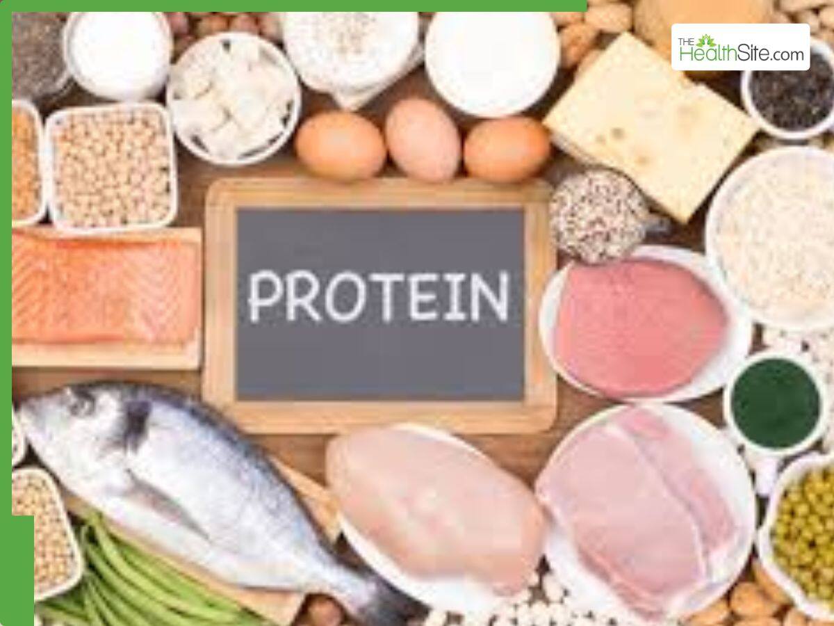 Protein