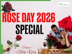 Rose Day 2026 Isn   t Just Romantic: Rose Water And Rose Tea Have Powerful Skin And Heart Benefits