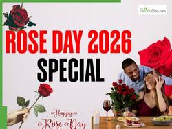 Rose Day 2026 Isn   t Just Romantic: Rose Water And Rose Tea Have Powerful Skin And Heart Benefits