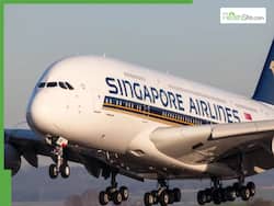 New Zealand Airport On High Alert After Two Singapore Airlines Passengers Arrive With World   s Deadliest Disease - Measles | Highlights