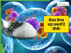 कैंसर सेल्स को बढ़ा सकता है शुगर! जानें, किस तरह चीनी लेना है सुरक्षित