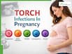 TORCH Infections In Pregnancy: Symptoms, Risks To Baby, Tests, Treatment And Prevention Tips