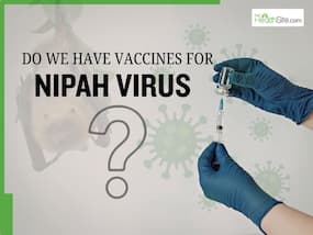 Nipah Virus Alert: Airports On High Alert Amid Fresh Cases In India - Do We Have Vaccines For Nipah Virus?