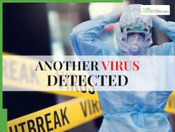 New Nipah-Like Deadly Bat Virus Detected in Bangladesh: Survivors Suffer Long-Term Serious Health Effects