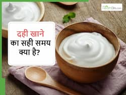 बार-बार बलगम बनना, पेट फूलना कहीं गलत समय दही खाने के कारण तो नहीं? जान लें दही खाने का सही समय