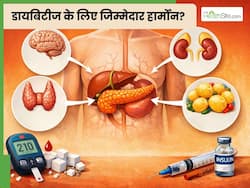 डायबिटीज के लिए कौन-सा हार्मोन जिम्मेदार होता है? जानें कैसे बढ़ता है ब्लड शुगर लेवल
