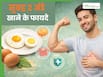 रोज सुबह 2 अंडे खाने से क्या होगा? जानें महीनेभर में कौन-से बदलाव देखने को मिलेंगे