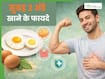 रोज सुबह 2 अंडे खाने से क्या होगा? जानें महीनेभर में कौन-से बदलाव देखने को मिलेंगे