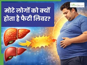 मोटापा बनता जा रहा है फैटी लिवर का कारण, इन लक्षणों की न करें अनदेखी मोटापा बनता जा रहा है फैटी लिवर का कारण, इन लक्षणों की न करें अनदेखी