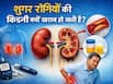 डायबिटीज रोगियों में क्यों रहता है किडनी खराब होने का खतरा? जानें क्या है कनेक्शन 