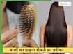 तेजी से बढ़ने लगेंगे बाल, नहीं होगा हेयर फॉल, घर पर आजमाएं यह 1 घरेलू नुस्खा