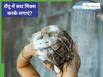 शैंपू में मिलाकर लगाएं ये हरी चीज, बाल होंगे तेजी से लंबे और घने; हर कोई पूछेगा राज