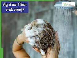 शैंपू में मिलाकर लगाएं ये हरी चीज, बाल होंगे तेजी से लंबे और घने; हर कोई पूछेगा राज