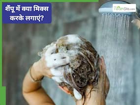 शैंपू में मिलाकर लगाएं ये हरी चीज, बाल होंगे तेजी से लंबे और घने; हर कोई पूछेगा राज