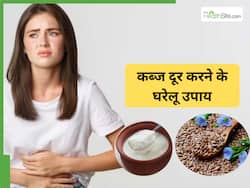 कब्ज से राहत पाने के लिए दहीं में मिलाकर खा लें ये चीज, सुबह नहीं लगाना पड़ेगा जोर