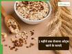 1 महीने तक ओट्स खाने से क्या होता है? Oats खाने से पहले जान लें इसके बारे में