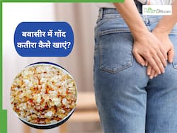 Gond Katira in Piles: बवासीर में गोंद कतीरा कैसे खाएं? जानें 3 तरीकें, जो दिलाएंगे आराम