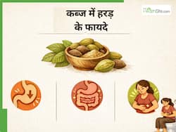 कब्ज का जड़ से सफाया: पेट की गंदगी बाहर निकाल देगी ये एक मामूली जड़ी-बूटी, सेवन का तरीका जान लें।