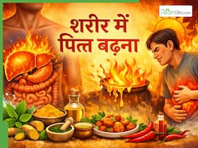 शरीर में पित्त बढ़ने का क्या मतलब है? जानें पित्त दोष किन बीमारियों का बनता है कारण
