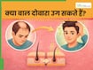 क्या गंजेपन के बाद बाल दोबारा उग सकते हैं? एक्सपर्ट से जानें