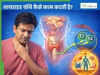 थायराइड रोग कैसे होता है और यह ग्रंथि कैसे काम करती है? जानें Thyroid Hormone के बारे में सबकुछ