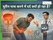 पेशाब करने में दर्द क्यों होता है? डॉक्टर से जानें एक्यूट यूरिनरी रिटेंशन (AUR) के बारे सब कुछ