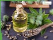 10 Best oils to mix with castor oil for fast hair growth and dandruff control in summer