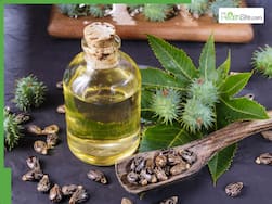 10 Best oils to mix with castor oil for fast hair growth and dandruff control in summer