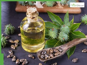 10 Best oils to mix with castor oil for fast hair growth in summer based on your hair health