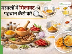 कहीं आपके किचन के मसाले नकली तो नहीं? हल्दी, मिर्च और जीरे की मिलावट ऐसे करें चेक