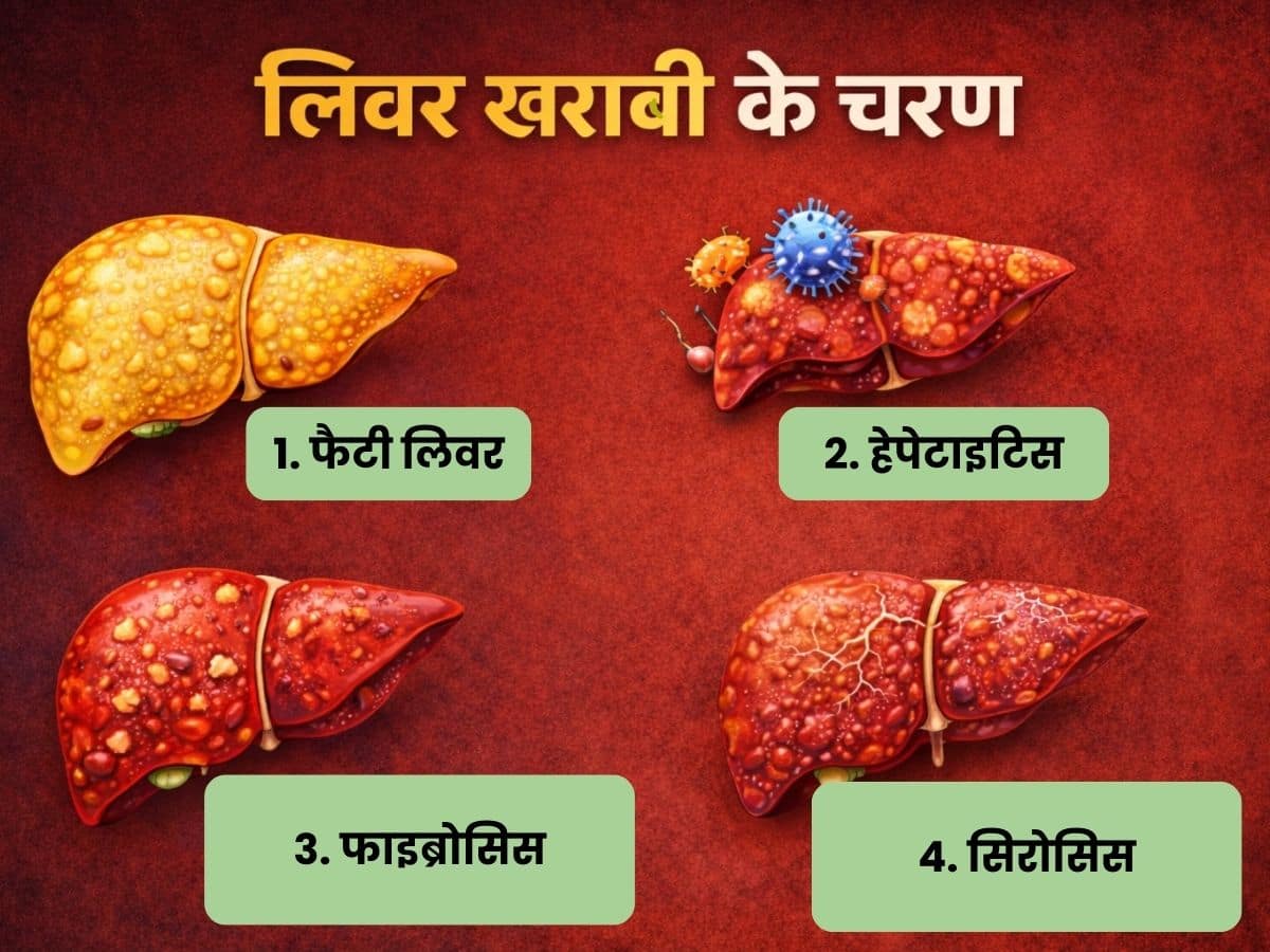 liver damage process