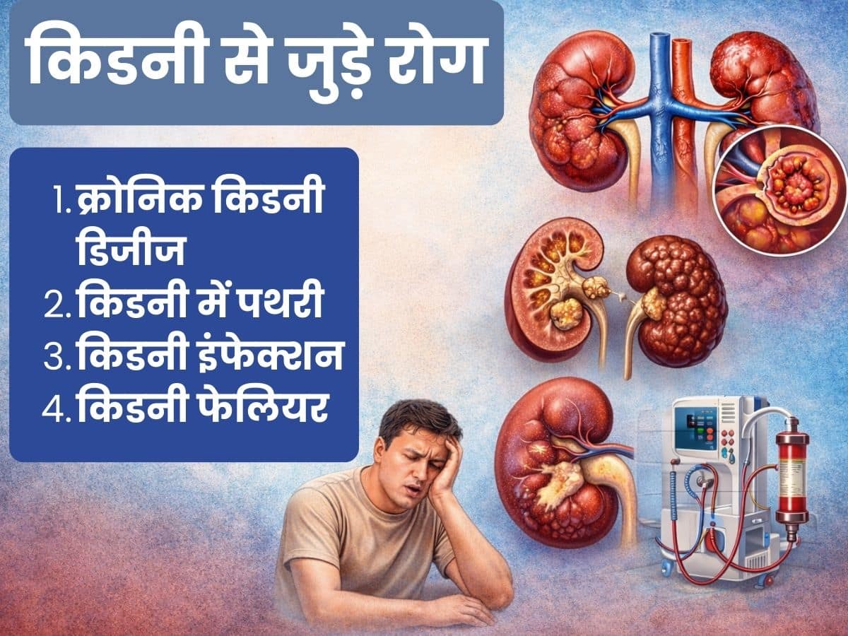 kidney diseases
