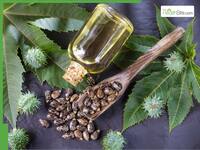 5 Best oils to mix with castor oil for faster hair growth based on your hair type and thickness