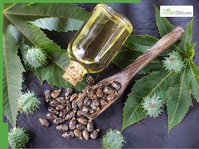 5 Best oils to mix with castor oil for faster hair growth based on your hair type and thickness 5 Best oils to mix with castor oil for faster hair growth based on your hair type and thickness