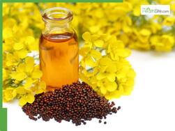 5 Best oils to mix with mustard oil for faster hair growth in summer
