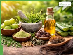 5 powerful ancient Indian herbs to control hair fall naturally this summer