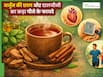 अर्जुन की छाल और दालचीनी का  काढ़ा पीने से क्या होता है? जानिए सेवन का  सही तरीका