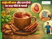 अर्जुन की छाल और दालचीनी का  काढ़ा पीने से क्या होता है? जानिए सेवन का  सही तरीका
