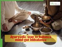 Struggling with digestive issues? Ayurvedic approach to healing mind-gut imbalance